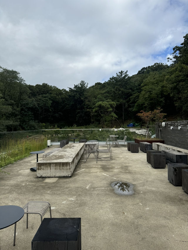 넓고 웅장한 초 대형 감성카페 바우어 🌲🌳