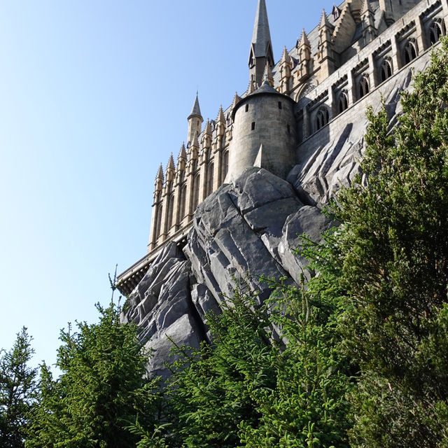 Potterhead's Dream!✨🪄🧙‍♂️