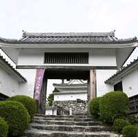 岐阜景點｜乘風而起、山嵐繚繞~日本最美山城—郡上八幡城