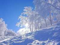 Ryuoo Ski Park ลานสกี จ.นากาโนะ