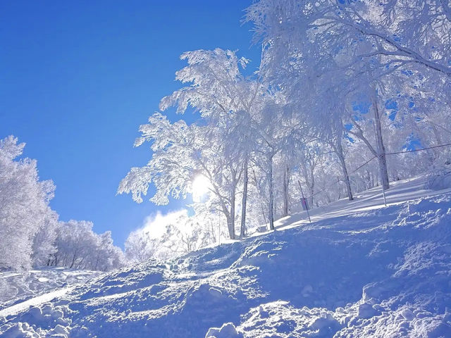 Ryuoo Ski Park ลานสกี จ.นากาโนะ