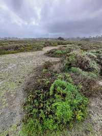 One of the most scenic drives in California 