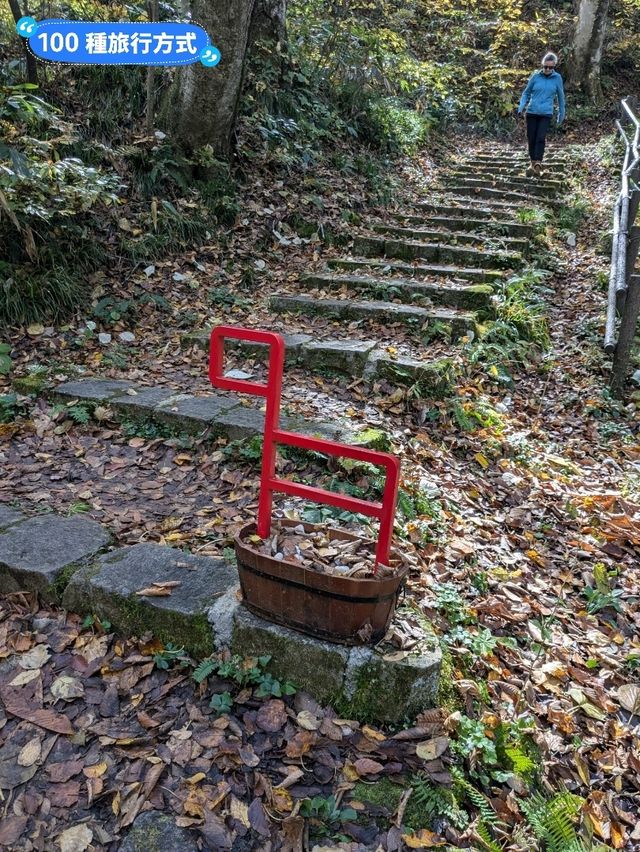 鳴子峽芬多精秘境，大深沢溪流森林步道