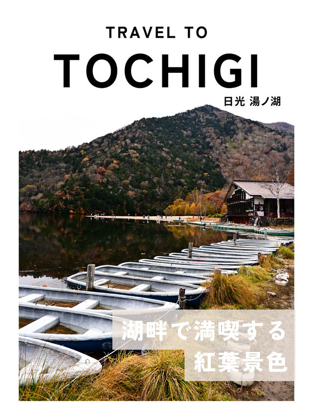 【日光】湖畔で眺める紅葉景色🍁