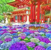 太宰府天滿宮-充滿禪意神社園區
