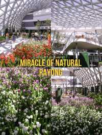 พิกัดสวนดอกไม้ติดแอร์สุดชิล Miracle of Natural🌷