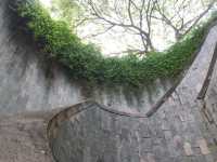 Fort Canning Tree Tunnel. เที่ยวสิงคโปร์