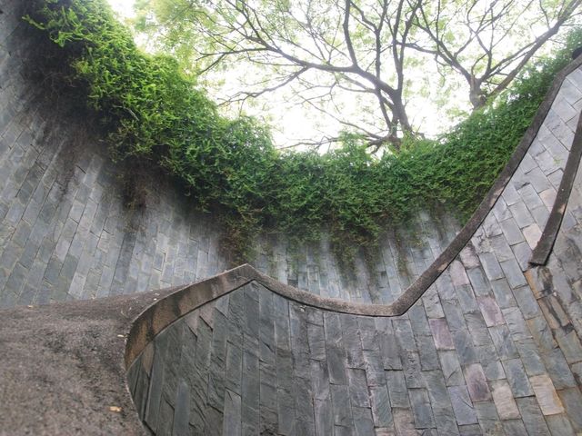 Fort Canning Tree Tunnel. เที่ยวสิงคโปร์