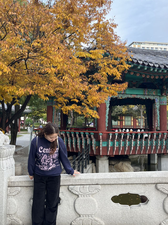 대구 도심 속 단풍 여행을 할 수 있는 경상감영공원 다녀왔어요🍂