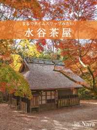 【奈良】タイムスリップしたような古民家カフェ×紅葉