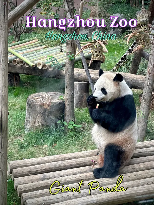 都市叢林中的一座小型自然動物園