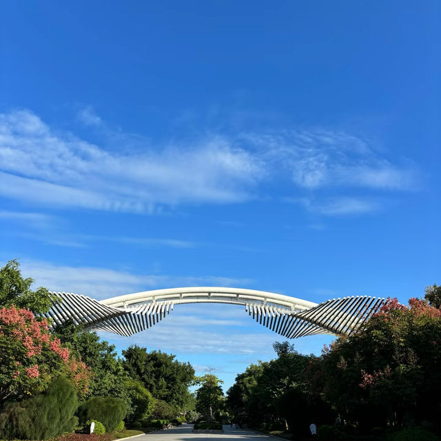 西埔公園：自然樂園 🌼🐦