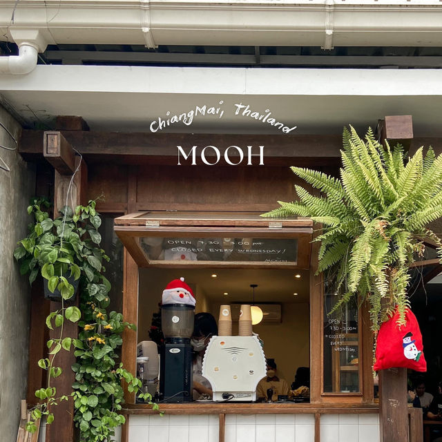 MOOH - ChiangMai 🍩🤤
