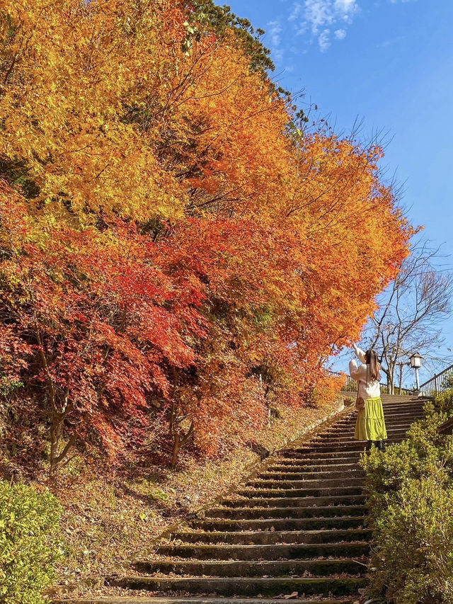 【京都】タイムスリップしたような現存する集落
