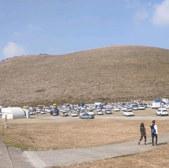 제주도의 새별오름을 올라보자!!!