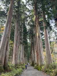 Beyond the Gate: Togakushi Shrine