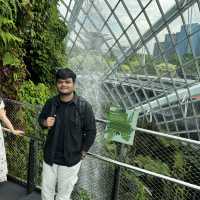 Visit to Flower Dome and Cloud Forest