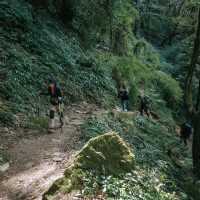 Mardi Himal Trek 