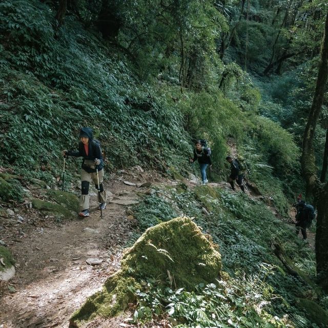 Mardi Himal Trek 