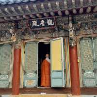 Discovering the Serenity of Beomeosa Temple