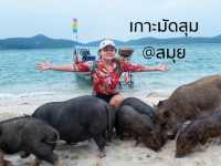เที่ยวเกาะหมู