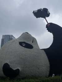 ตูเจียงเยี่ยนone day trip🐼🇨🇳