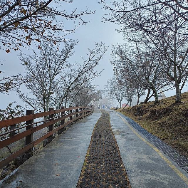 A Peaceful Retreat at Qingjing Farm: My Taiwan Adventure 
