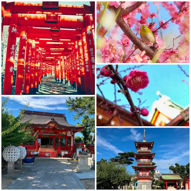 Tsuna Shiki Tenmangu Shrine