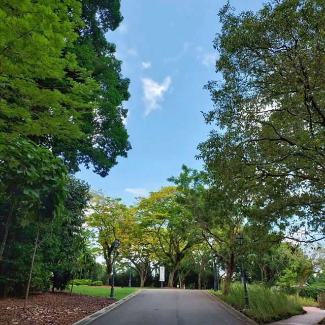 Singapore Botanic Gardens : สวนใหญ่ใจกลางเมือง