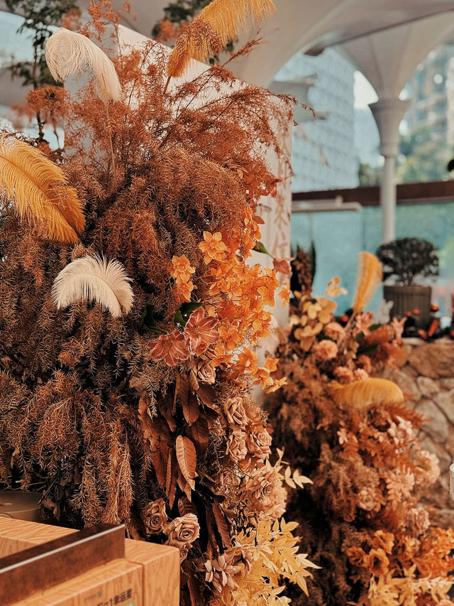 💫MINT放·戶外花園餐吧｜深圳隱藏版浪漫餐廳