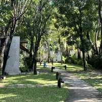 ที่พักธรรมชาติลับๆ ตรงข้ามเมกา บางนา🍃