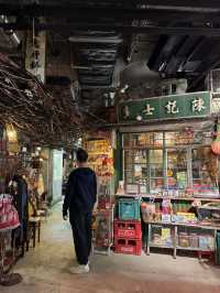 香港景點🇭🇰回到舊香港看九龍城寨✨