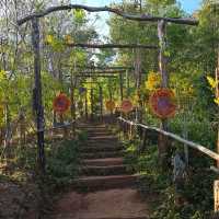 ภูป่าเปาะ ฟูจิเมืองไทย