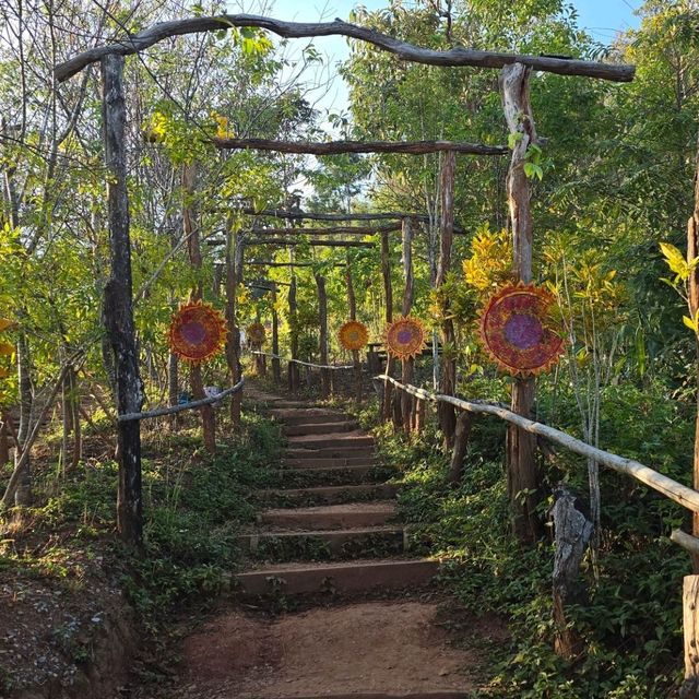 ภูป่าเปาะ ฟูจิเมืองไทย