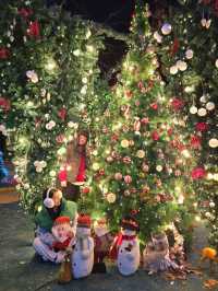 크리스마스에 진심인 여주 트리카페🎄
