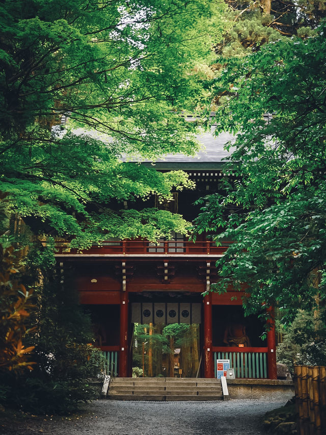茨城のパワースポット⛩御岩神社