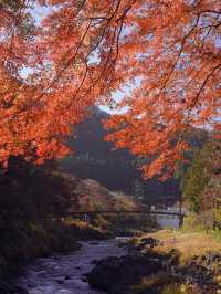 東京御岳渓谷🍁紅葉と清流の癒しスポット