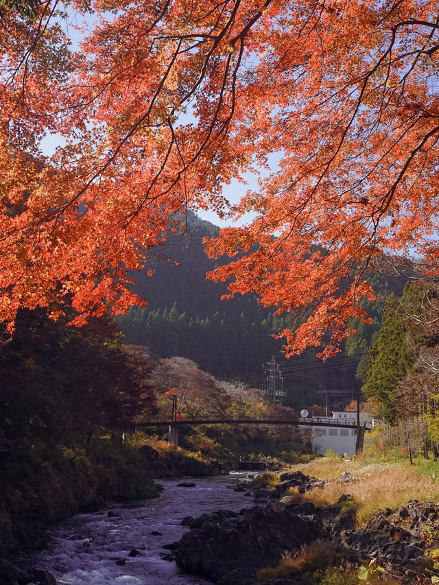 東京御岳渓谷🍁紅葉と清流の癒しスポット