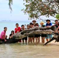 เกาะกระดาน