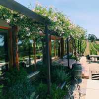 The Coal Valley Vineyard