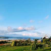 The Coal Valley Vineyard
