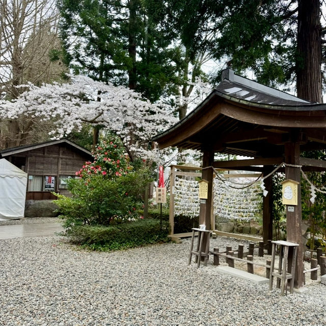 在日本走進武俠世界 - 山寺