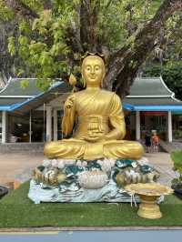The Reverent Golden Buddha Beneath the Sacred Tree