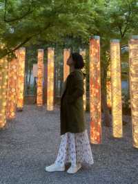 Kimono Forest: A Dreamlike Stroll