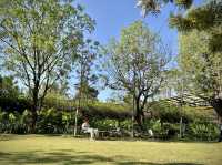 ที่พักในตัวเมืองเพชรบูรณ์ ฟังเพลงเบาๆ อาหารอร่อย