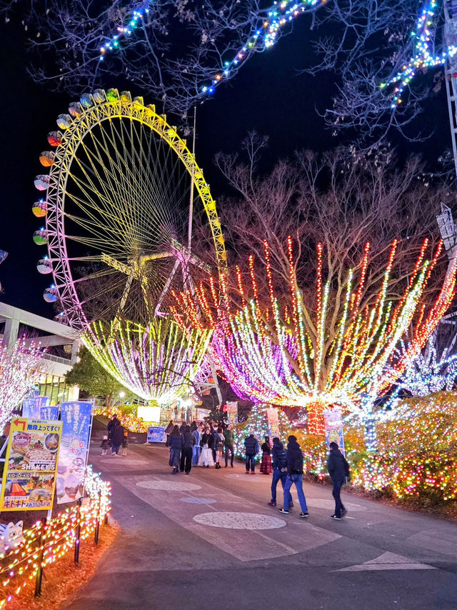 日本東京讀賣樂園 — 感受冬天寶石燈飾的魅力