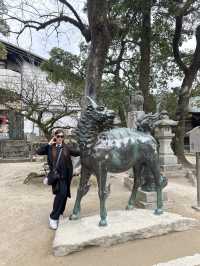 Dazaifu Tenmangu Shrine | Fukuoka | Japan 🇯🇵