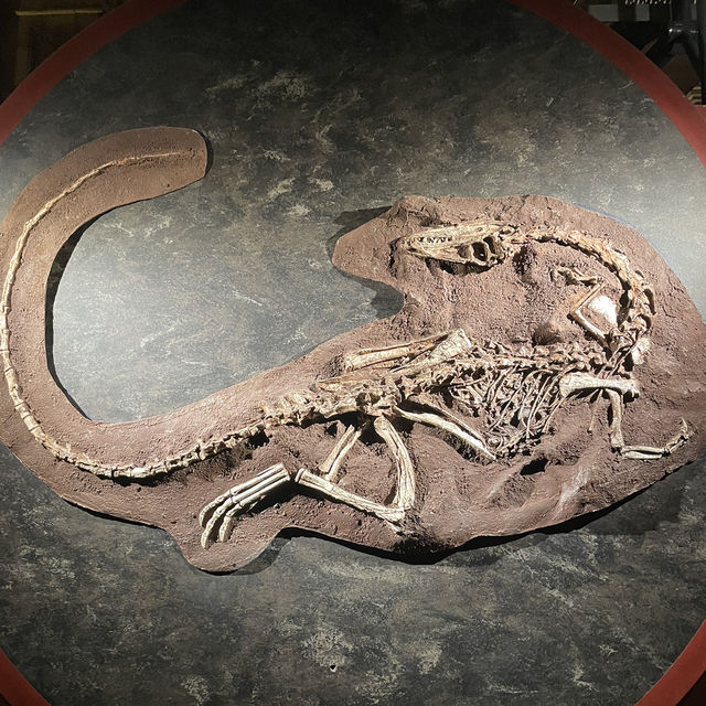 【ロンドン】子どもも大人も夢中になるスポット！🇬🇧🦖