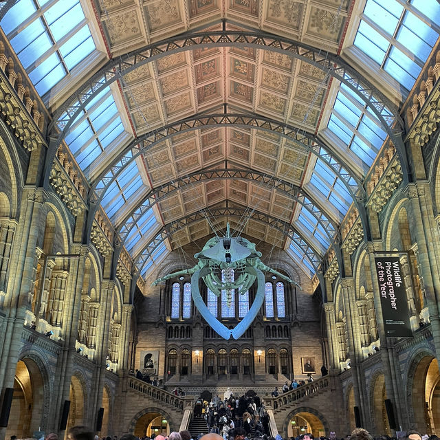 【ロンドン】子どもも大人も夢中になるスポット！🇬🇧🦖