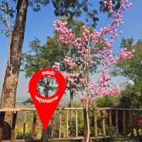 วนอุทยานผางาม จุดชมวิว หนองหิน 